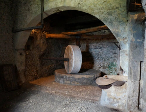 Museo dell’Olio di Castelnuovo di Farfa