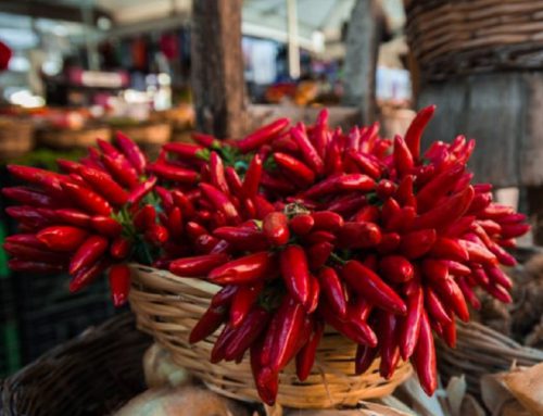 Fiera Mondiale Campionaria del Peperoncino