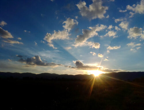 LE TUE FOTO: NATURA