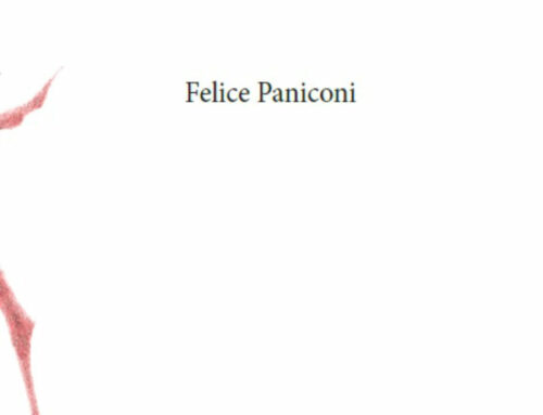 “Connessioni” di Felice Paniconi