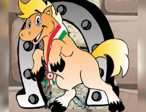 Palio di Amatrice dei Somari-Sindaci, il 25 e 26 marzo