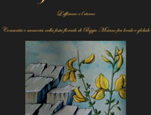“Il fiore e la roccia” di Flavia Braconi