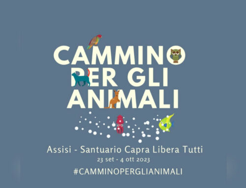 Domenica 1° ottobre a Rieti il Cammino per gli Animali