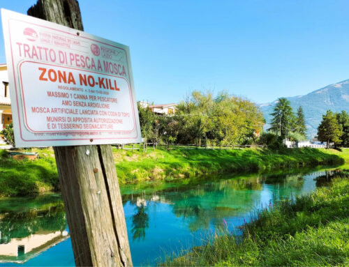 Riserva dei Laghi, terza edizione di educazione ambientale dedicata alla pesca no kill