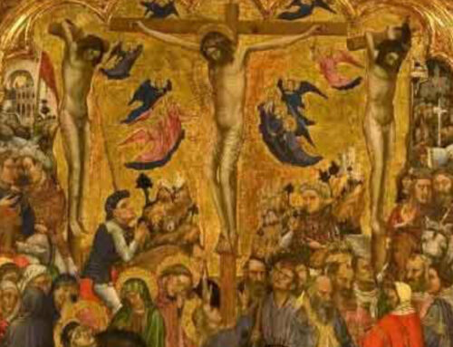 “Le rubriche del Museo”, sui social del Museo Civico e del Comune di Rieti