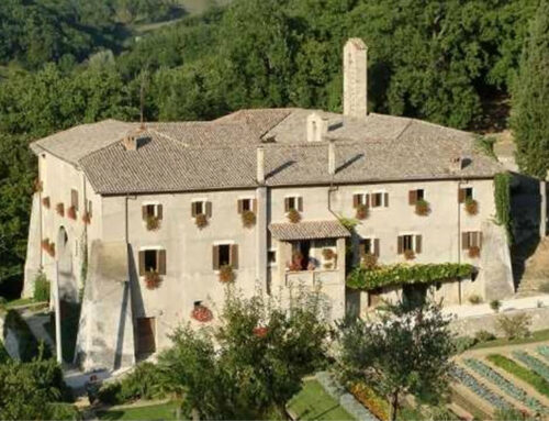 I Santuari sono una “gratia loci” che segna il futuro della Chiesa