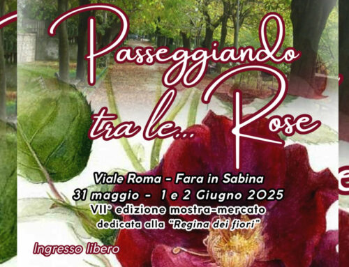 “Passeggiando tra le rose” laboratori floreali e creatività botanica
