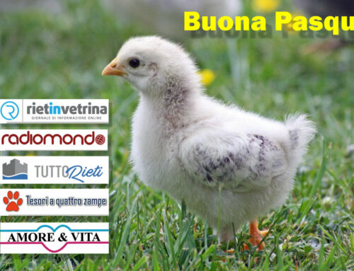 BUONA PASQUA DA TUTTORIETI